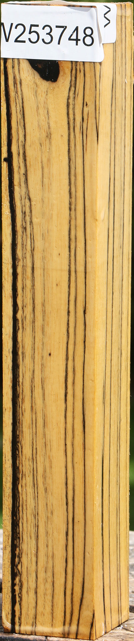 Extra Fancy Black & White Ebony Turning Square