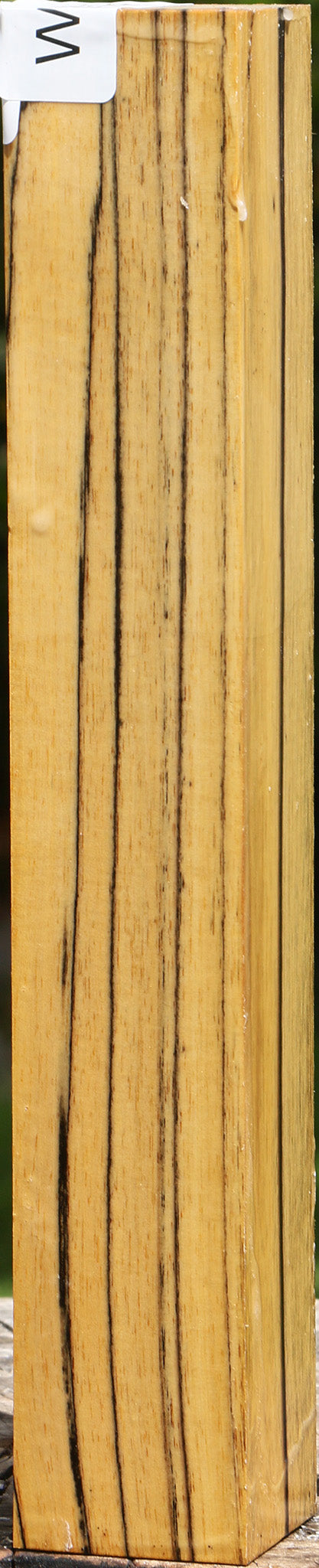 Extra Fancy Black & White Ebony Turning Square