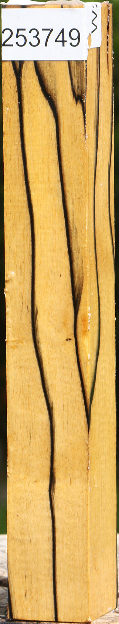 Figured Black & White Ebony Turning Square