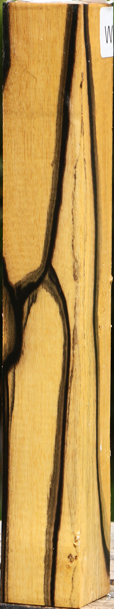 Figured Black & White Ebony Turning Square