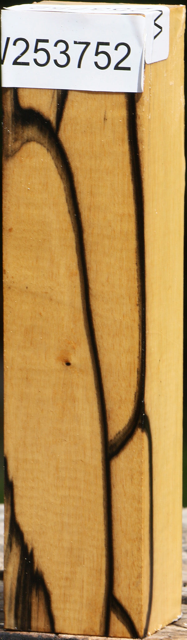 Extra Fancy Black & White Ebony Turning Blank