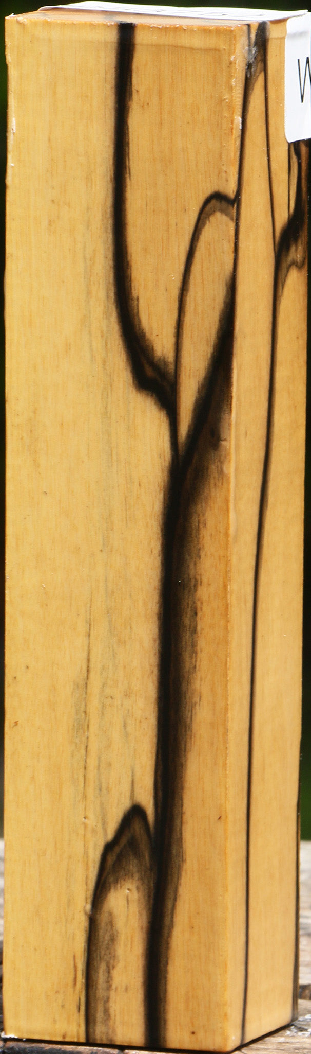 Extra Fancy Black & White Ebony Turning Blank