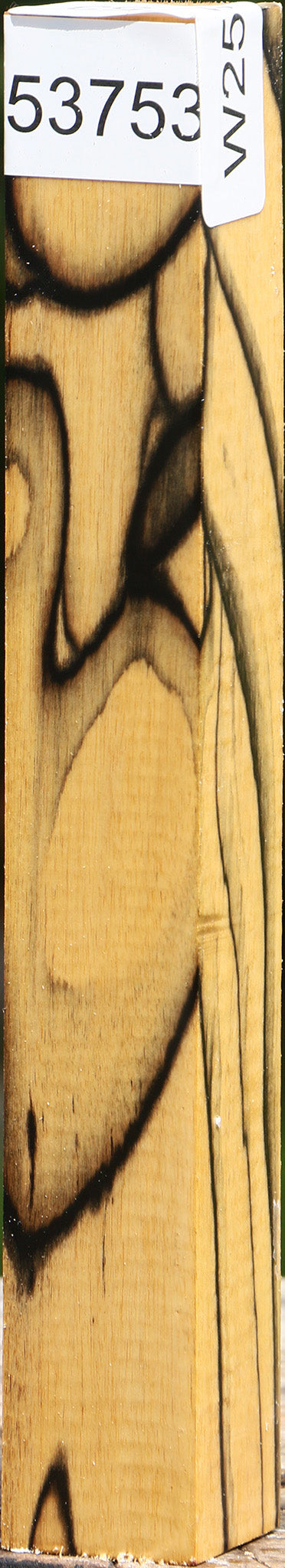 Extra Fancy Black & White Ebony Turning Square
