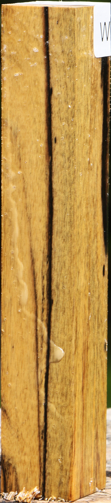 Black & White Ebony Turning Square