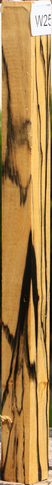 Extra Fancy Black & White Ebony Turning Square