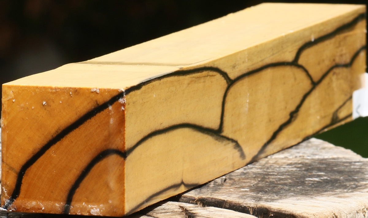 Figured Black & White Ebony Turning Square