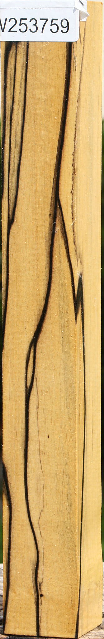 Figured Black & White Ebony Turning Square