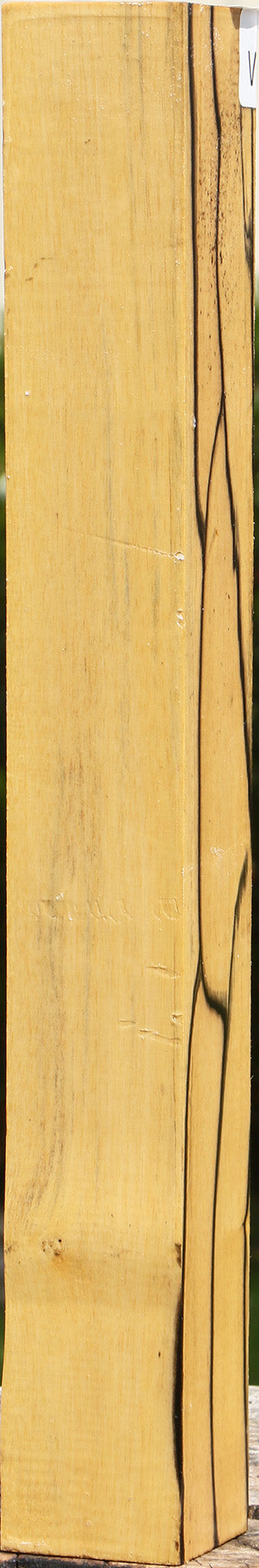 Figured Black & White Ebony Turning Square