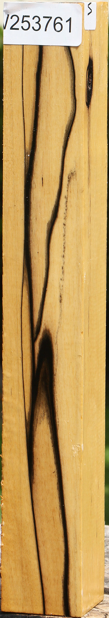 Black & White Ebony Turning Square