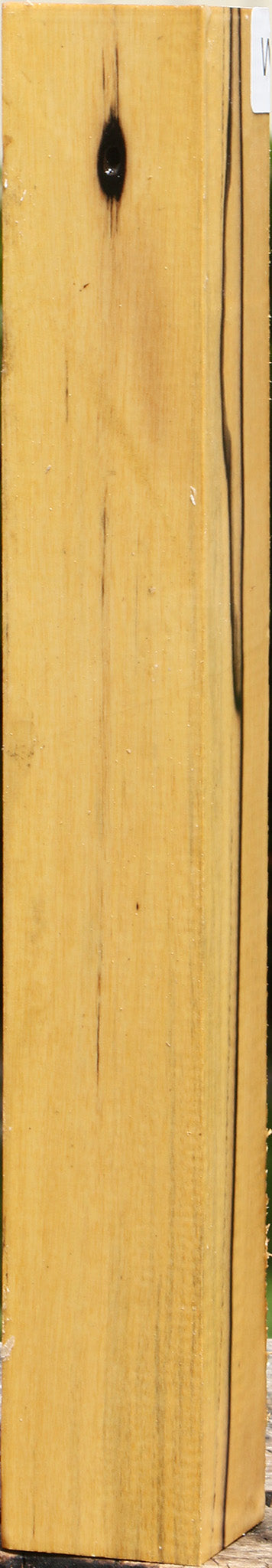 Black & White Ebony Turning Square
