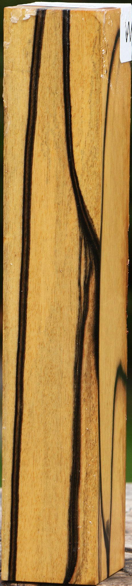 Black & White Ebony Turning Square