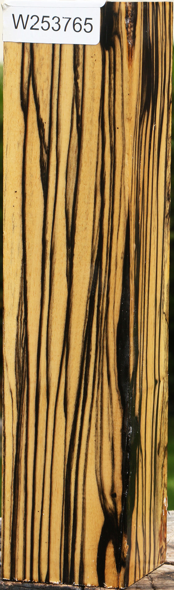 Extra Fancy Black & White Ebony Peppermill