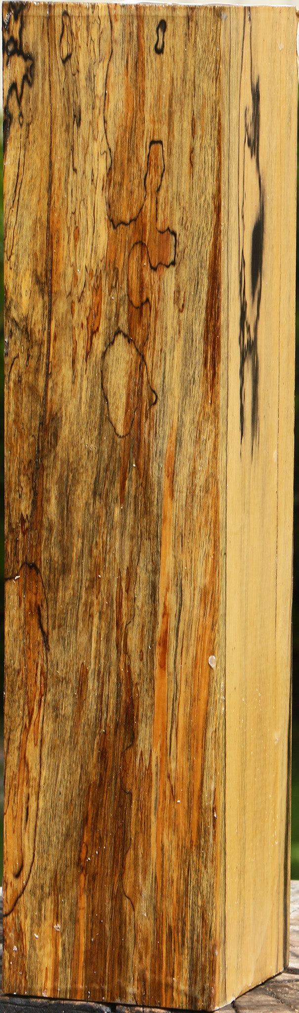 Extra Fancy Black & White Ebony Peppermill