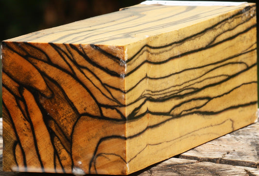 Extra Fancy Black & White Ebony Turning Square