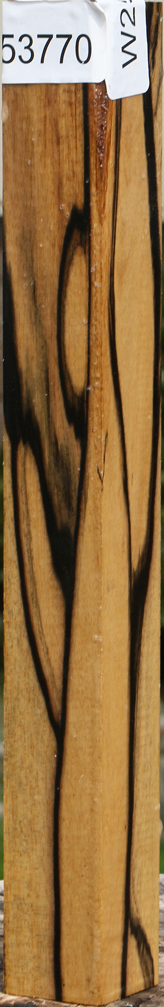 Black & White Ebony Turning Square
