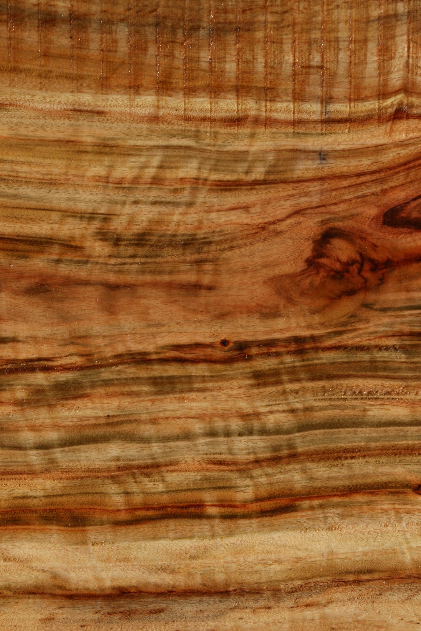 Figured Camphor Live Edge Bowl Blank