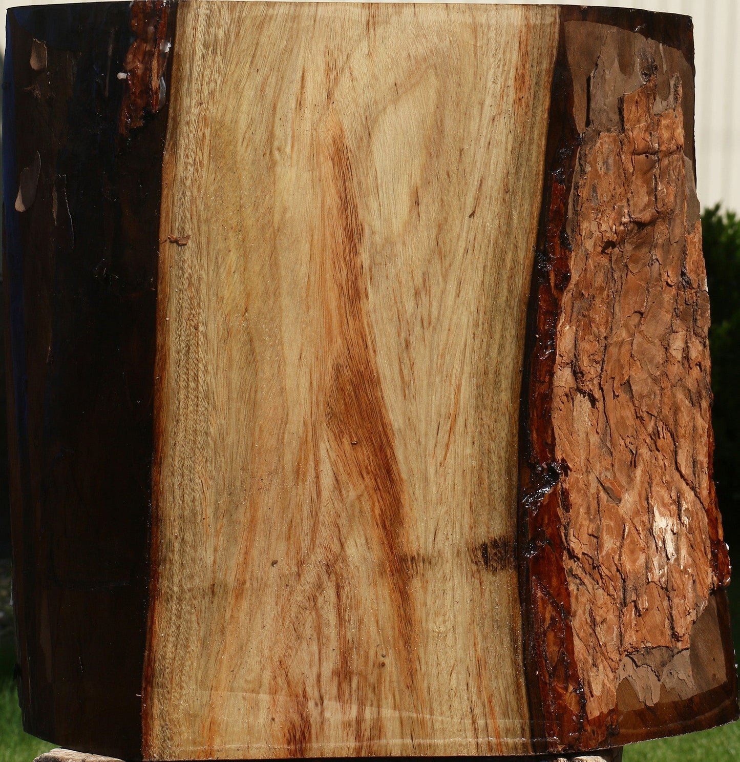 Figured Camphor Live Edge Bowl Blank