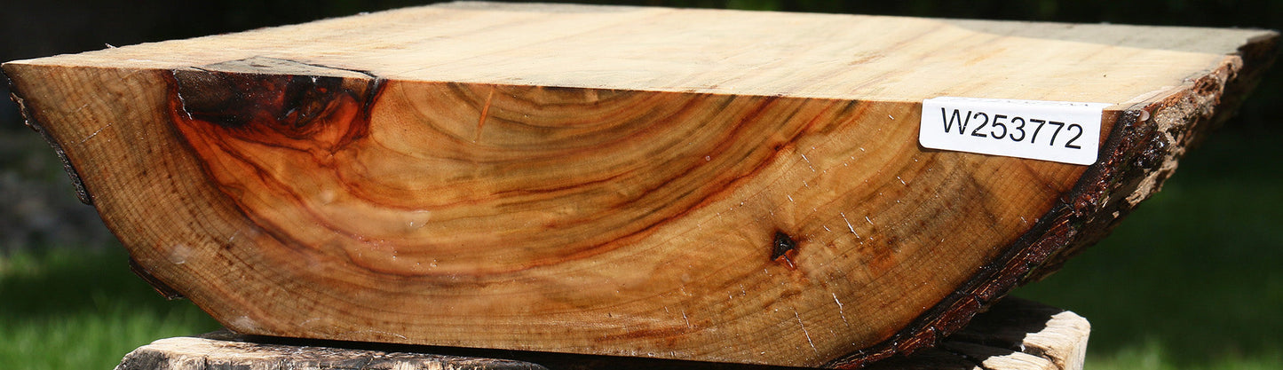 Figured Camphor Live Edge Bowl Blank