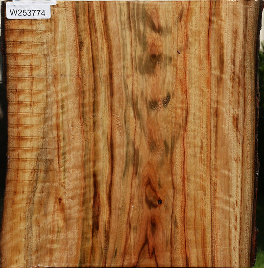 Figured Camphor Live Edge Bowl Blank