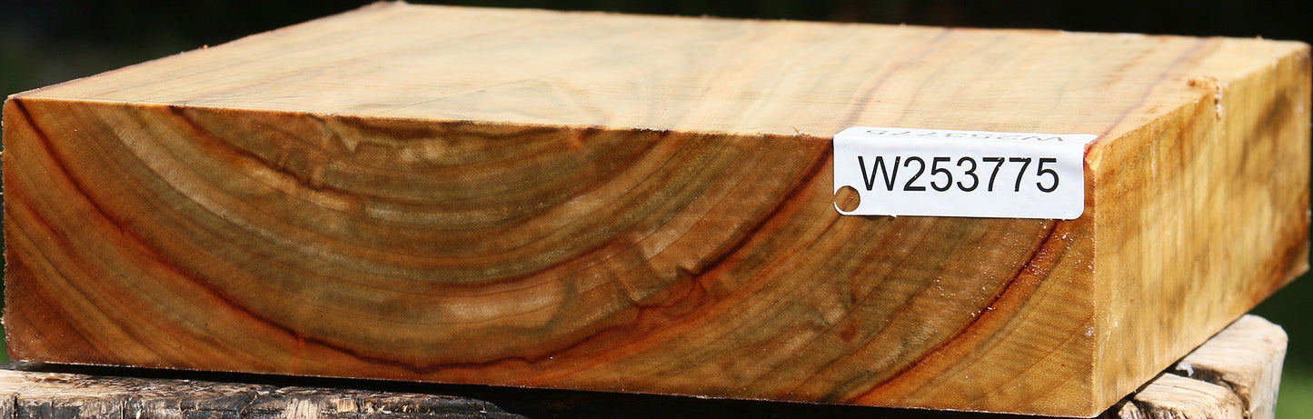 Extra Fancy Camphor Platter Blank