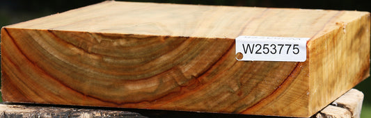 Extra Fancy Camphor Platter Blank