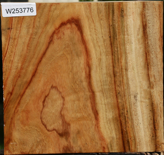 Camphor Live Edge Bowl Blank