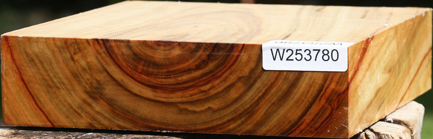 Figured Camphor Bowl Blank