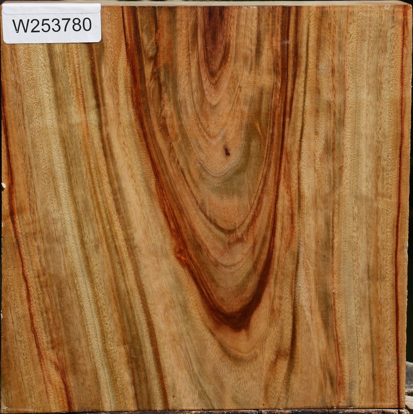 Figured Camphor Bowl Blank