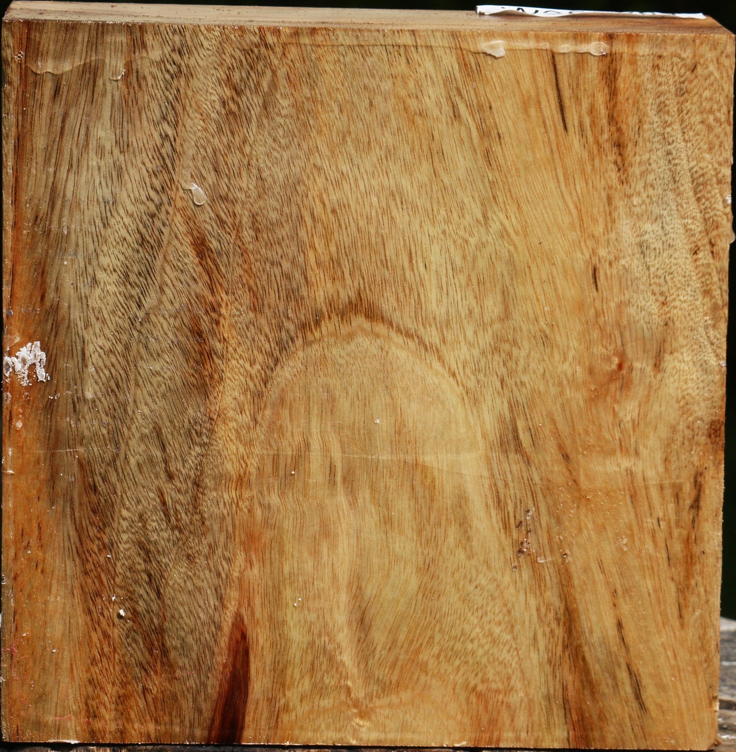 Figured Camphor Bowl Blank