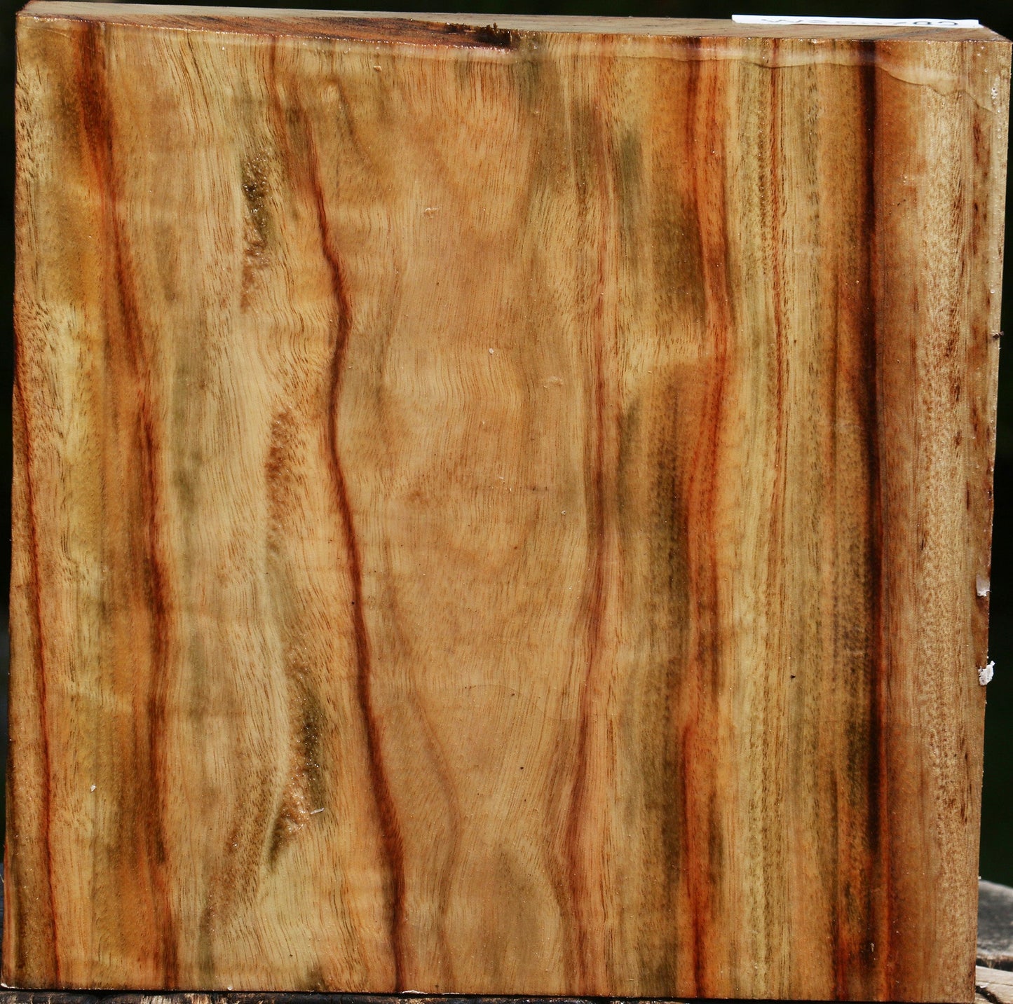Extra Fancy Camphor Bowl Blank