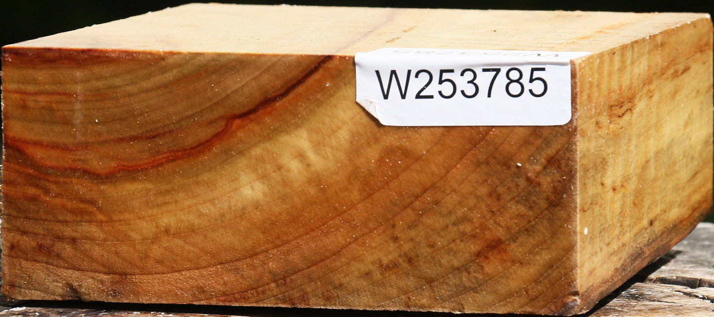 Camphor Bowl Blank