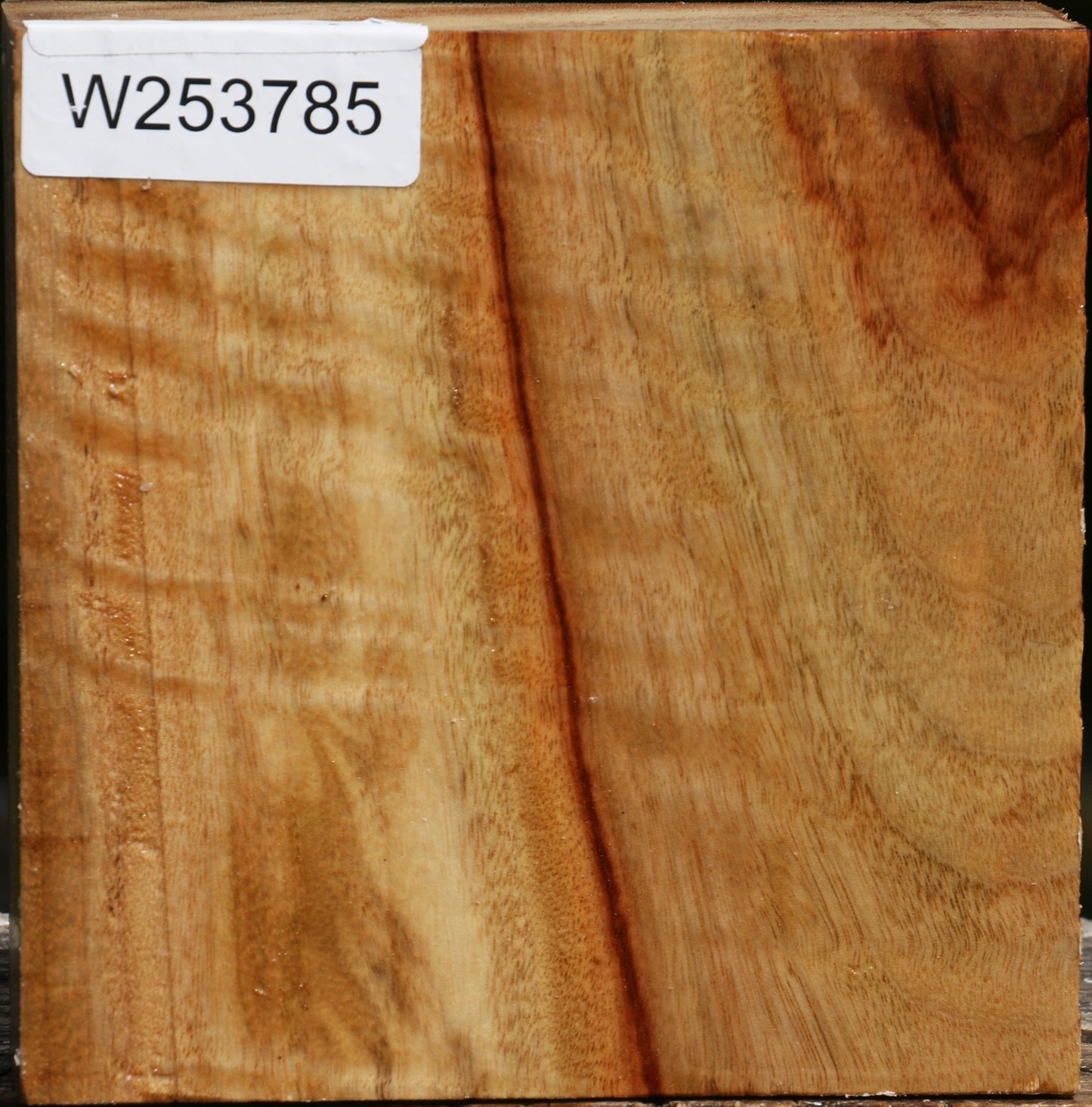 Camphor Bowl Blank