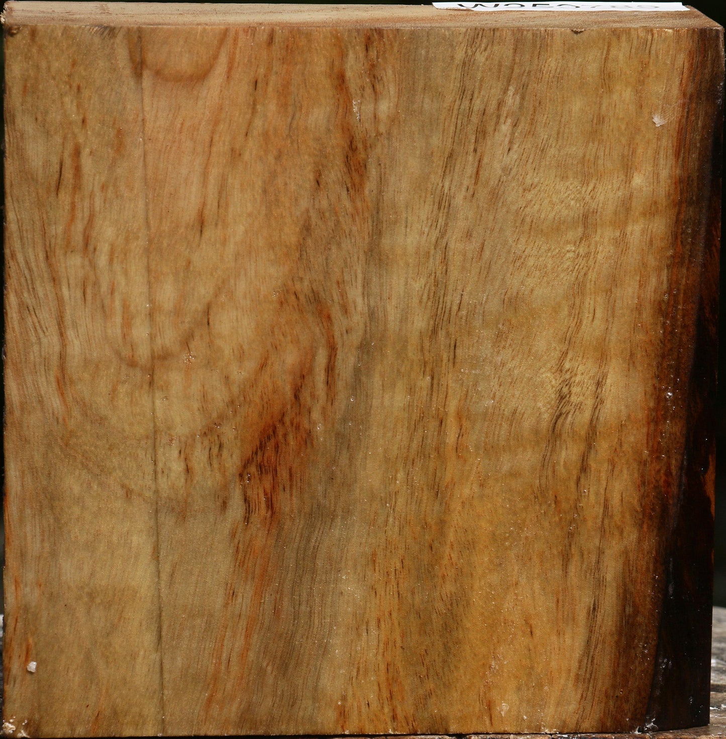 Camphor Bowl Blank