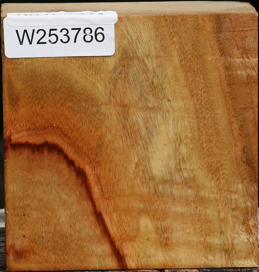 Camphor Platter Blank