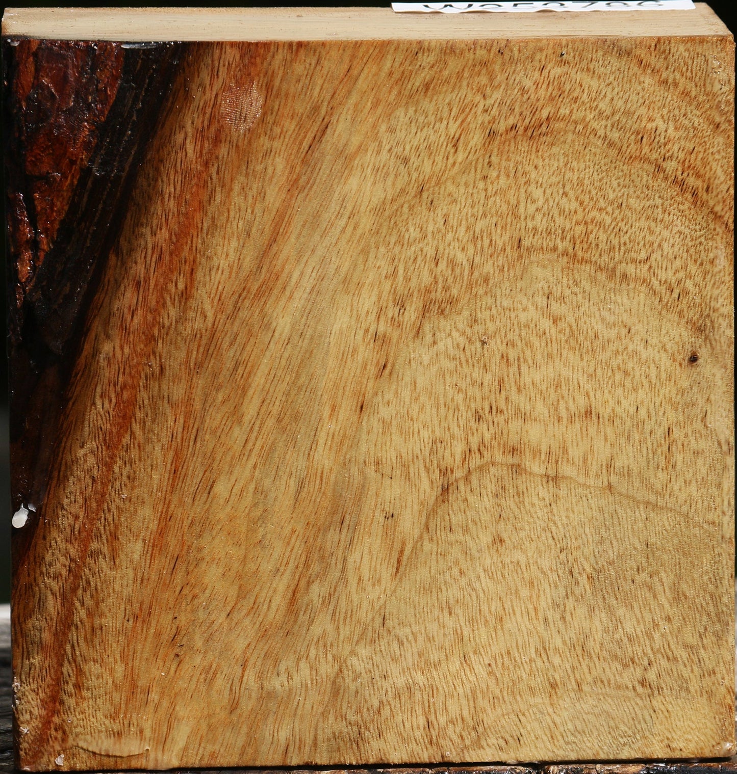 Camphor Platter Blank