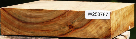 Figured Camphor Bowl Blank