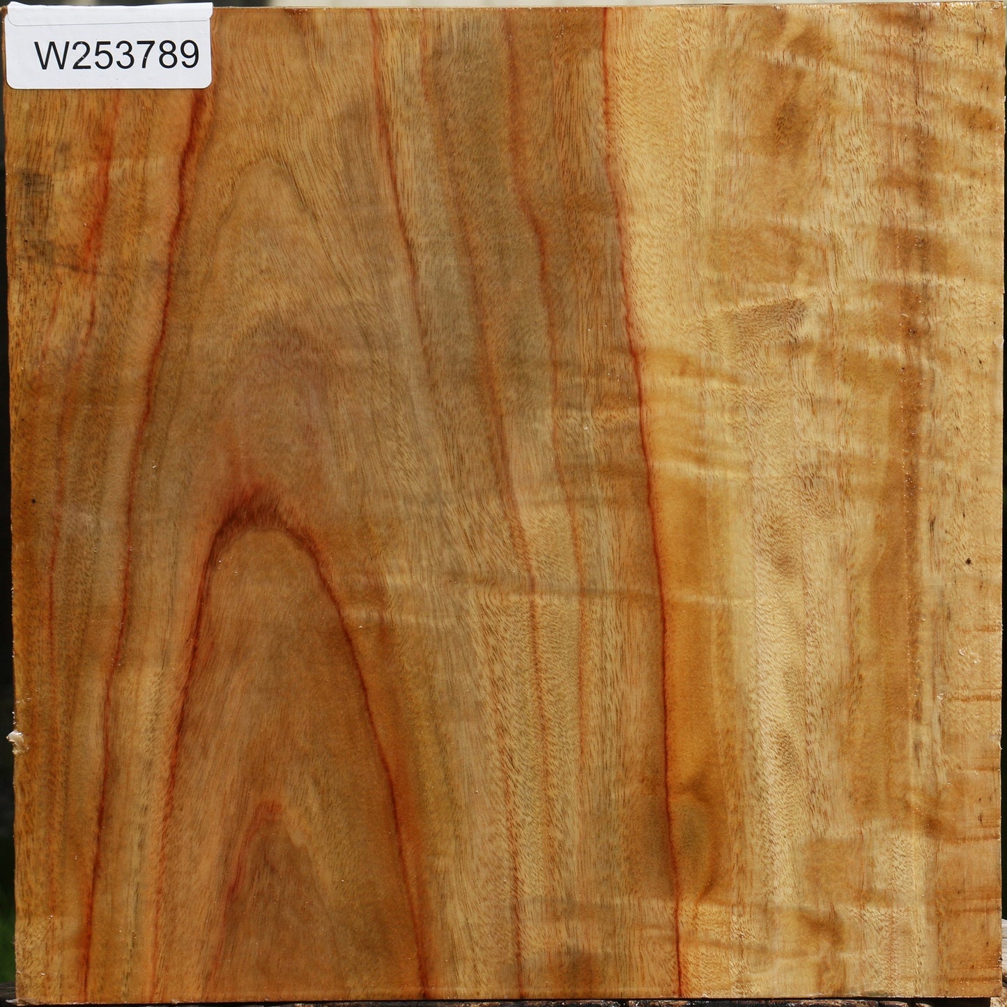 Figured Camphor Bowl Blank