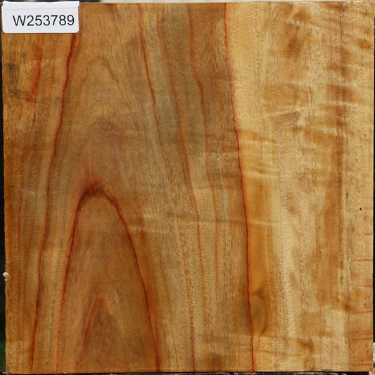 Figured Camphor Bowl Blank