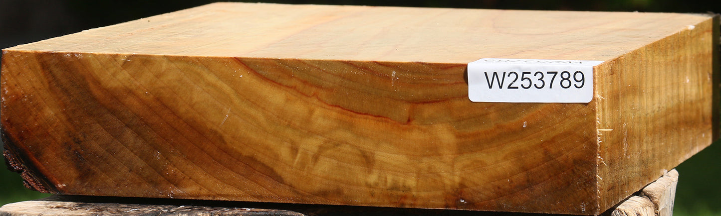 Figured Camphor Bowl Blank