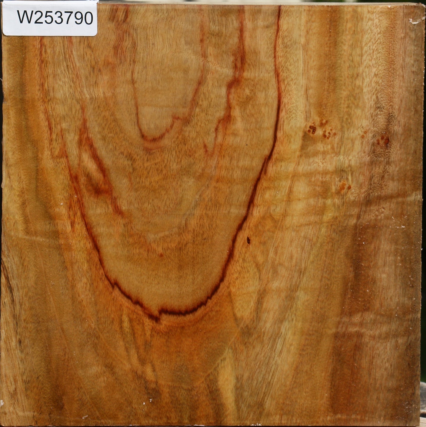 Figured Camphor Bowl Blank