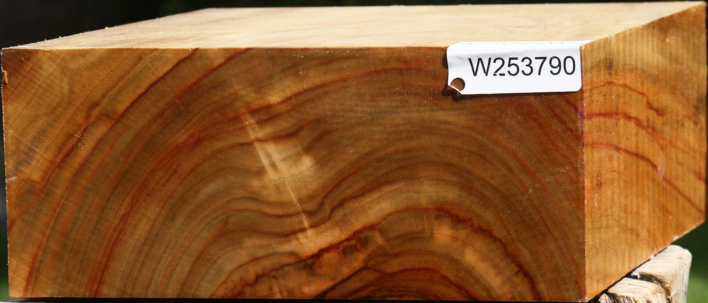 Figured Camphor Bowl Blank