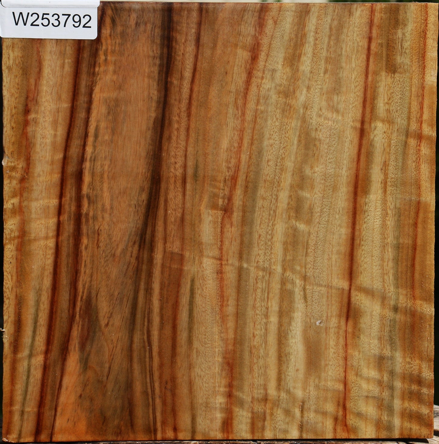 Figured Camphor Bowl Blank