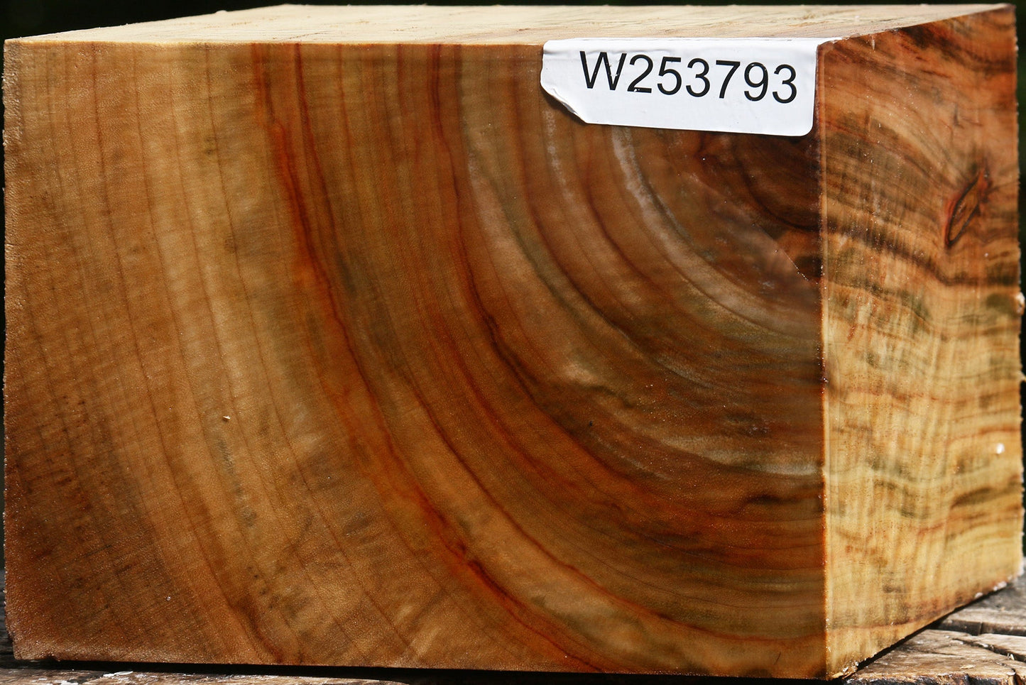 Figured Camphor Bowl Blank