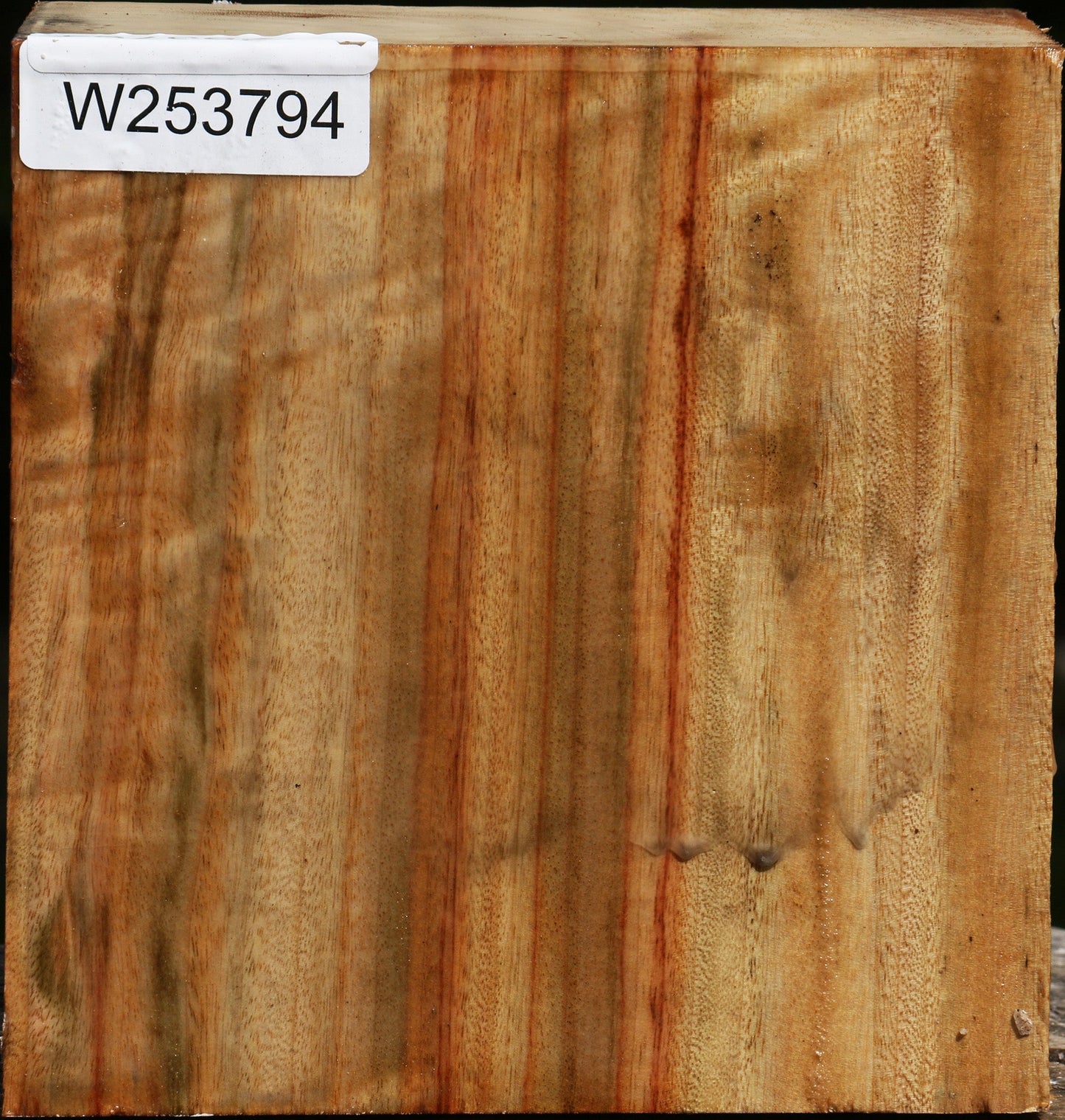 Figured Camphor Bowl Blank