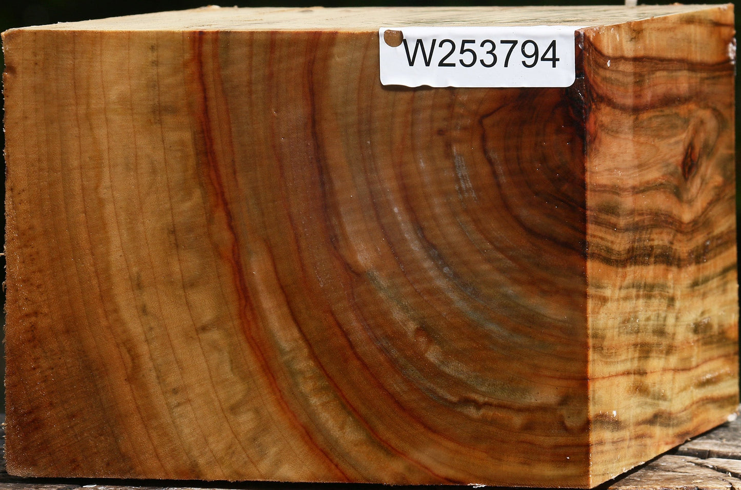 Figured Camphor Bowl Blank
