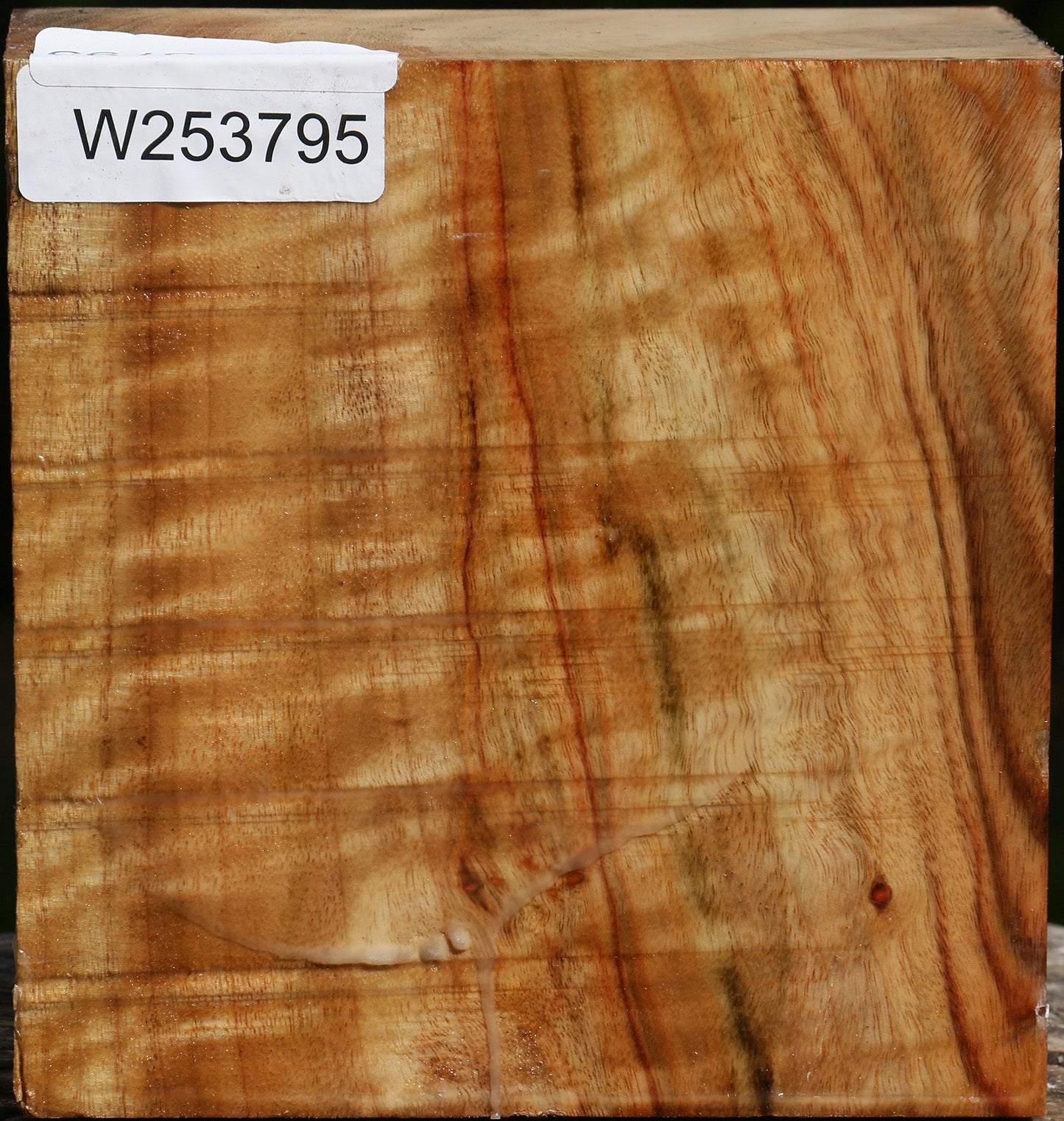 Figured Camphor Bowl Blank