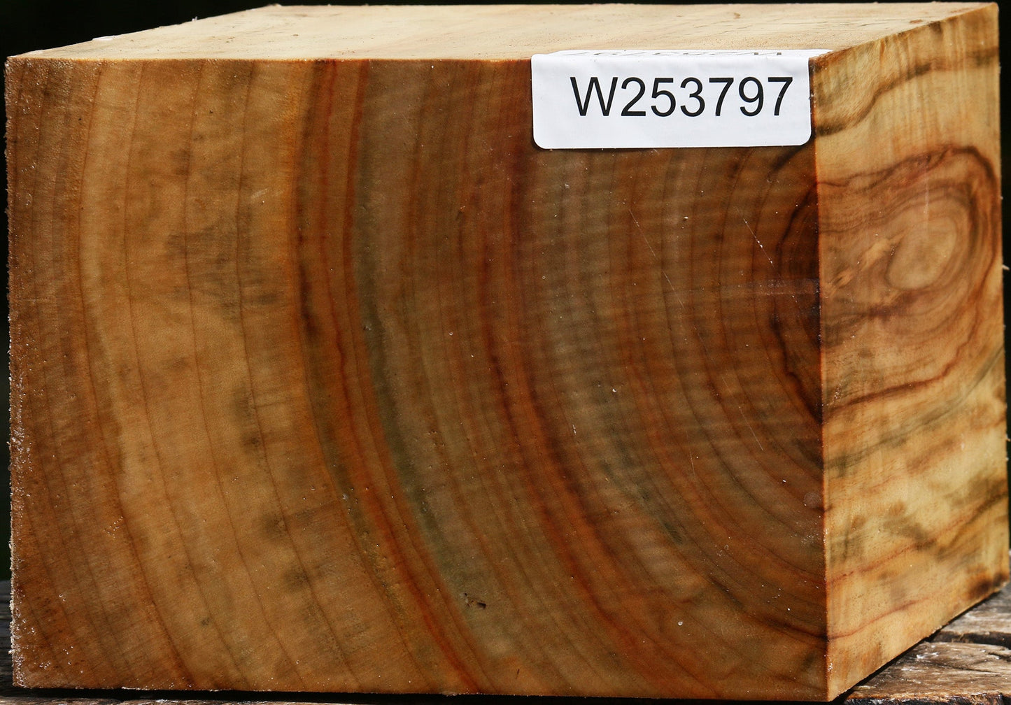 Figured Camphor Bowl Blank