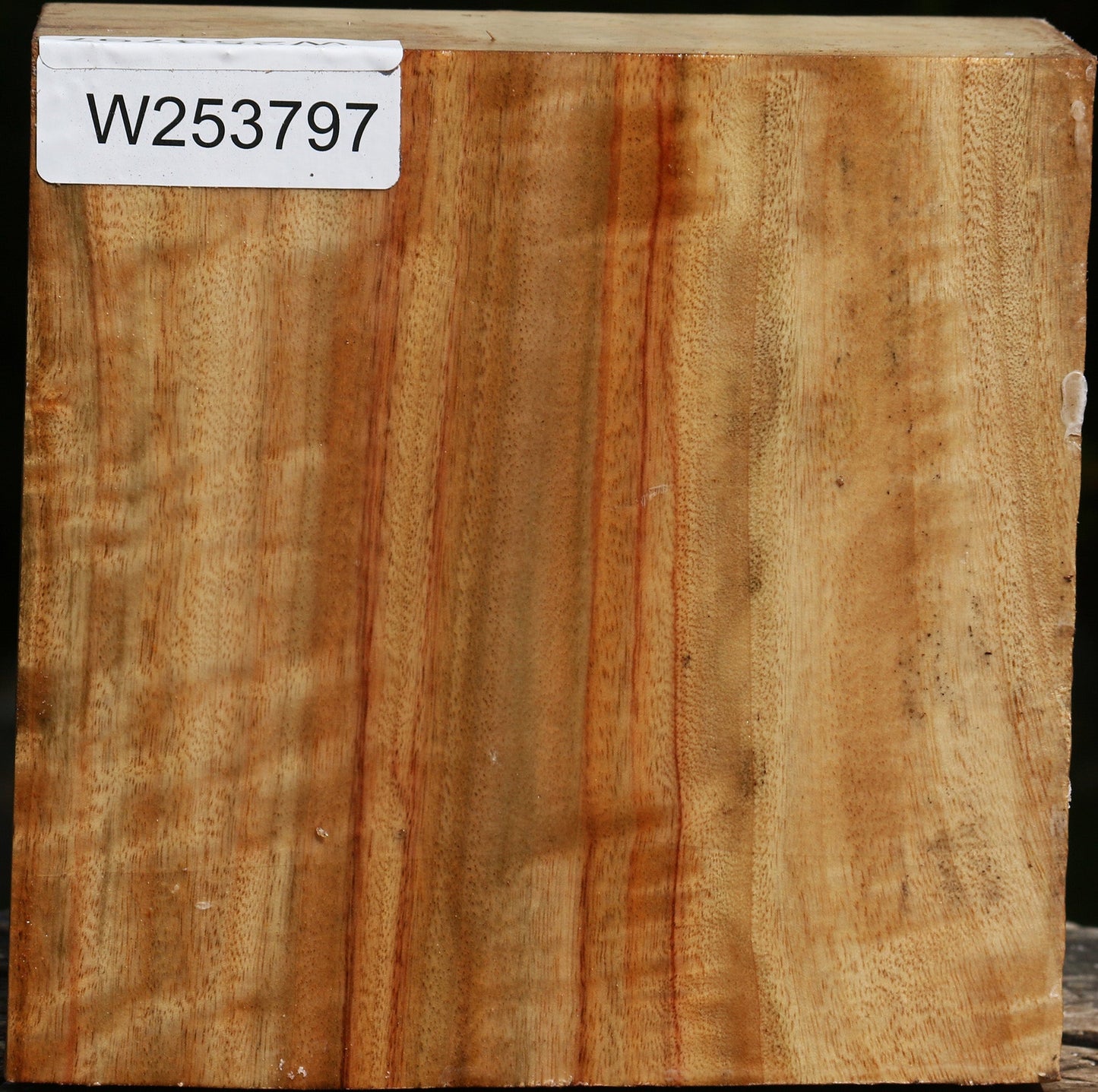 Figured Camphor Bowl Blank