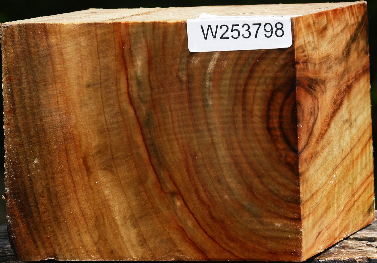 Extra Fancy Camphor Bowl Blank