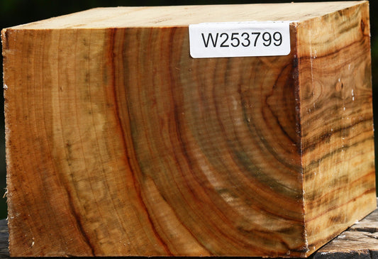 Figured Camphor Bowl Blank